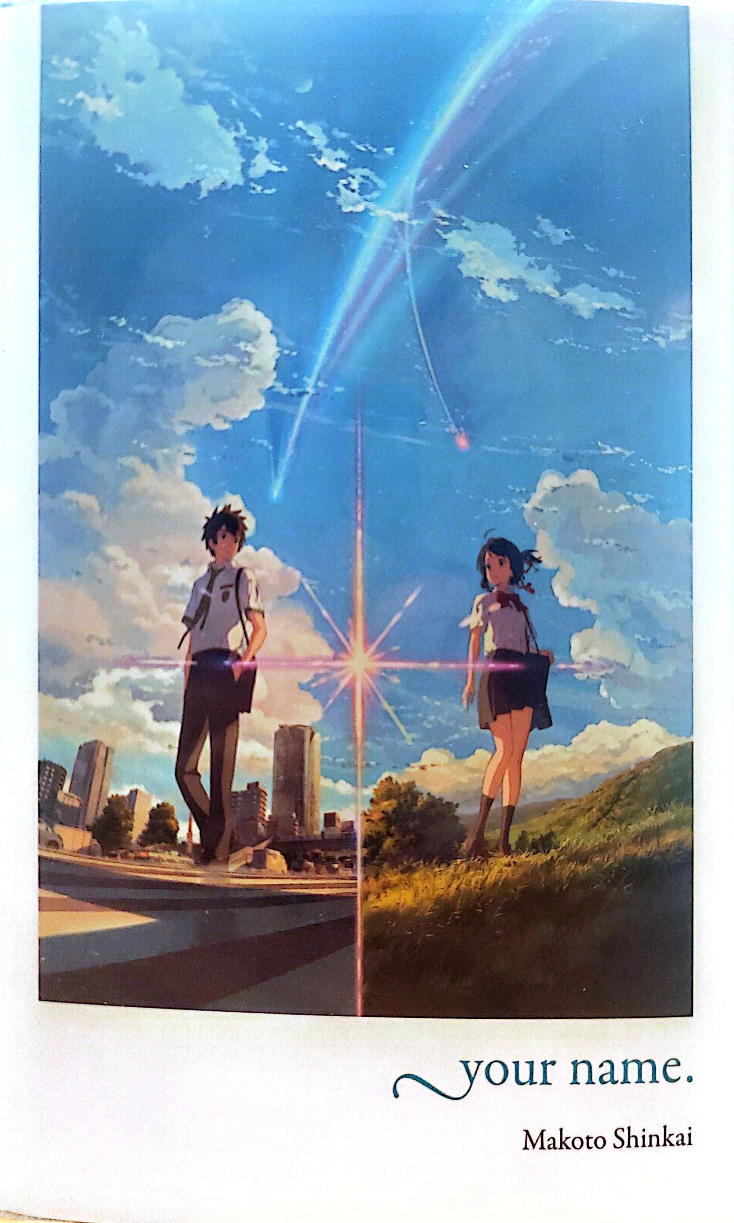 Your Name Novel
