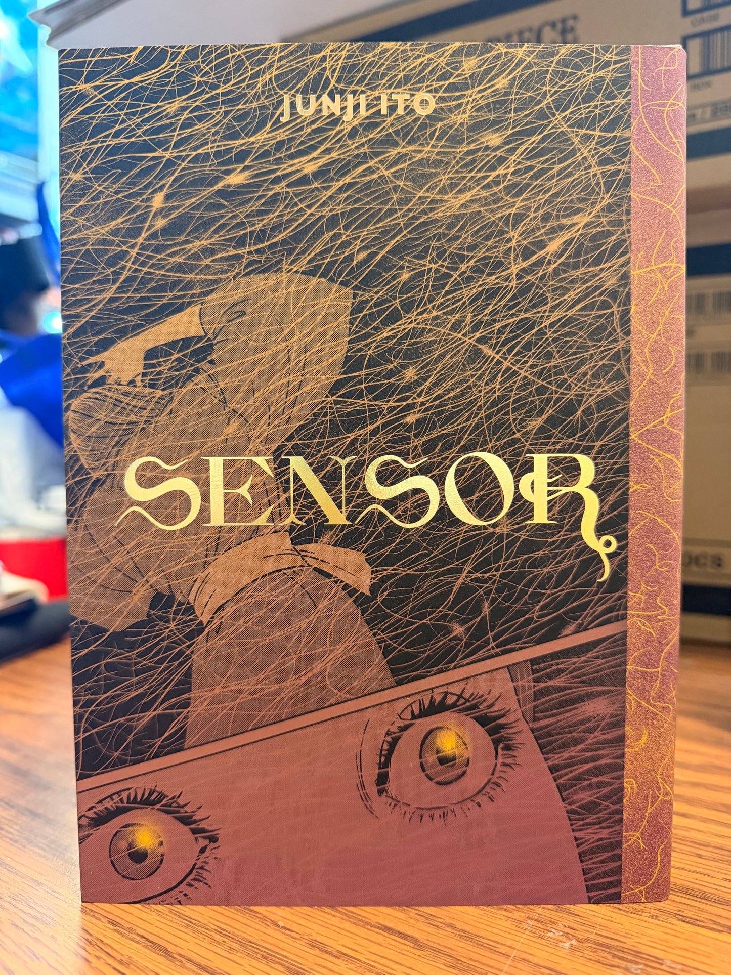 Sensor Manga English New
