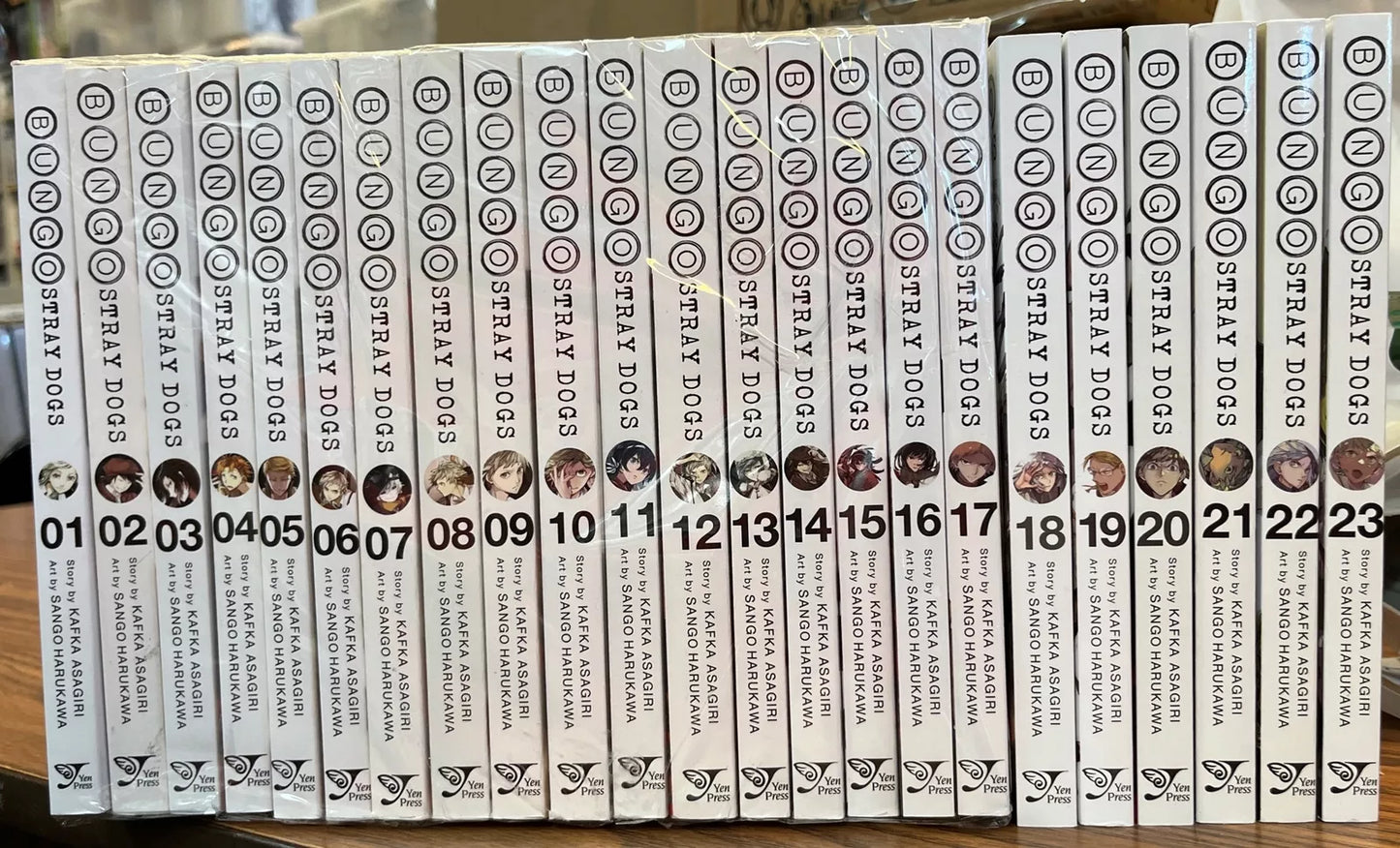 Bungo Stray Dogs Collection (v1 - 23)
