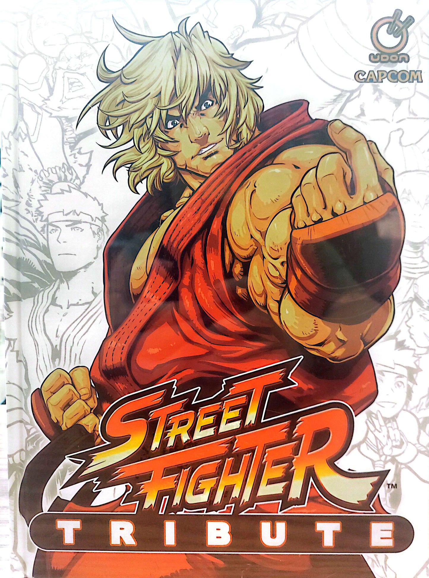Street Fighter Tribute Artbook