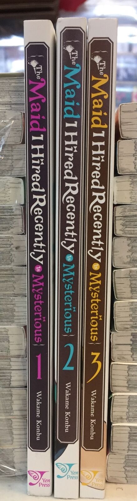 The Maid I Hired Recently is Mysterious Collection (v1 - 3)