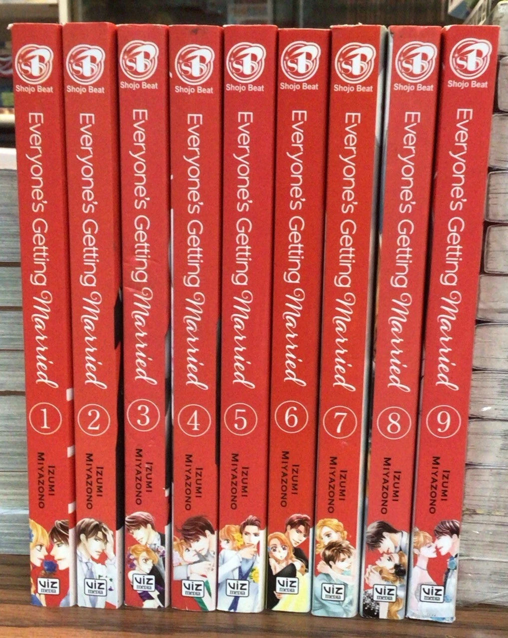 Everyone’s Getting Married 1-9 Manga English New 10