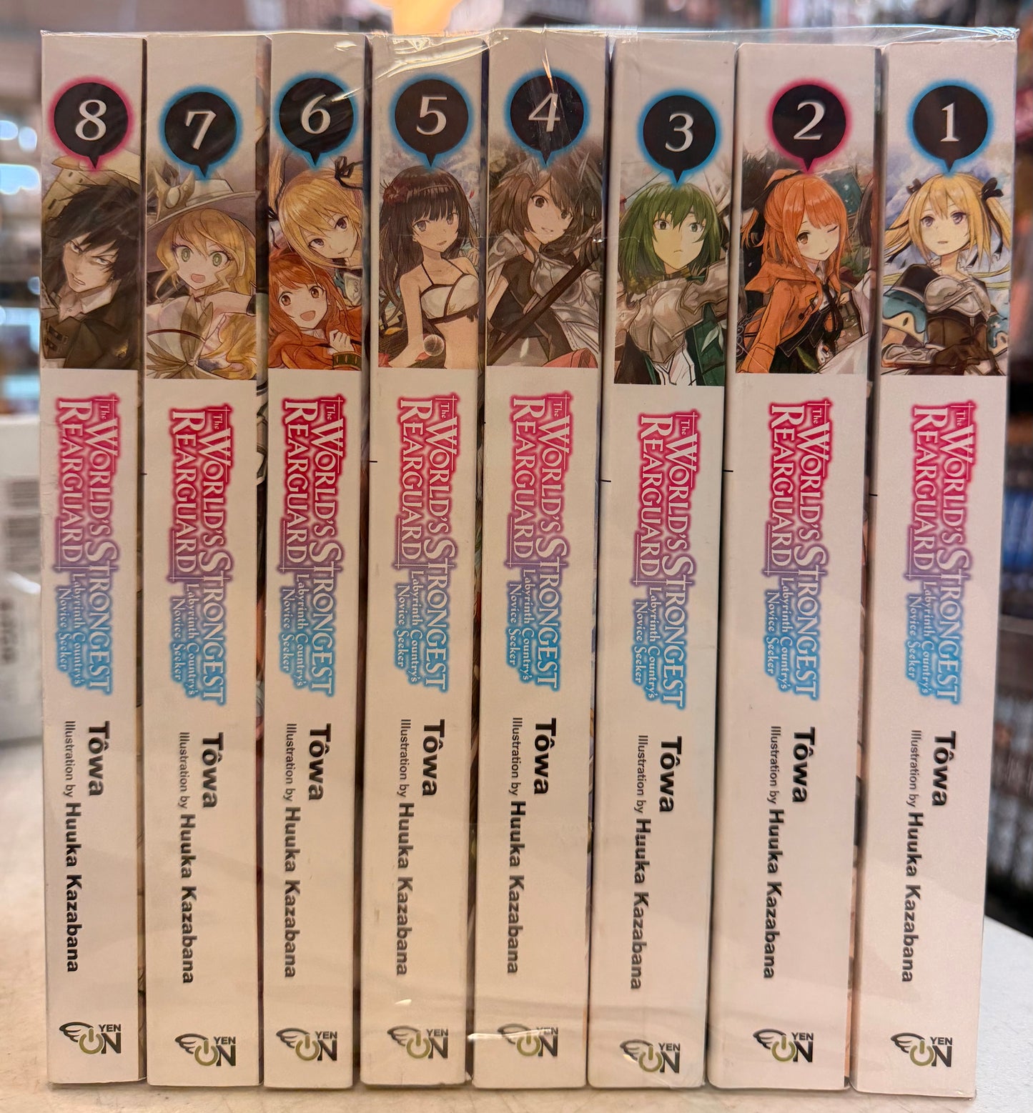 The World's Strongest Rearguard... (v1-8) Light Novel English New