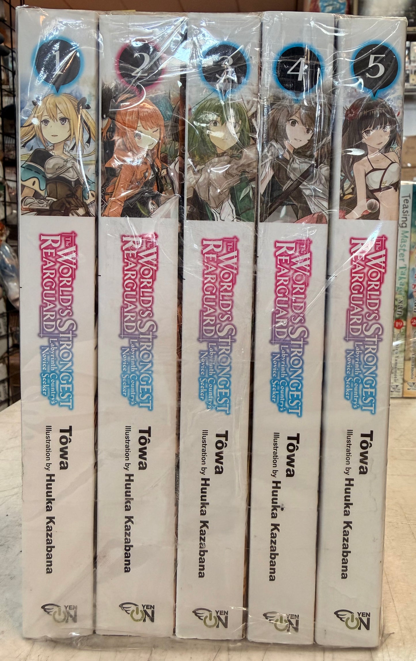 The World's Strongest Rearguard... (v1-5) Light Novel English New (Copy)