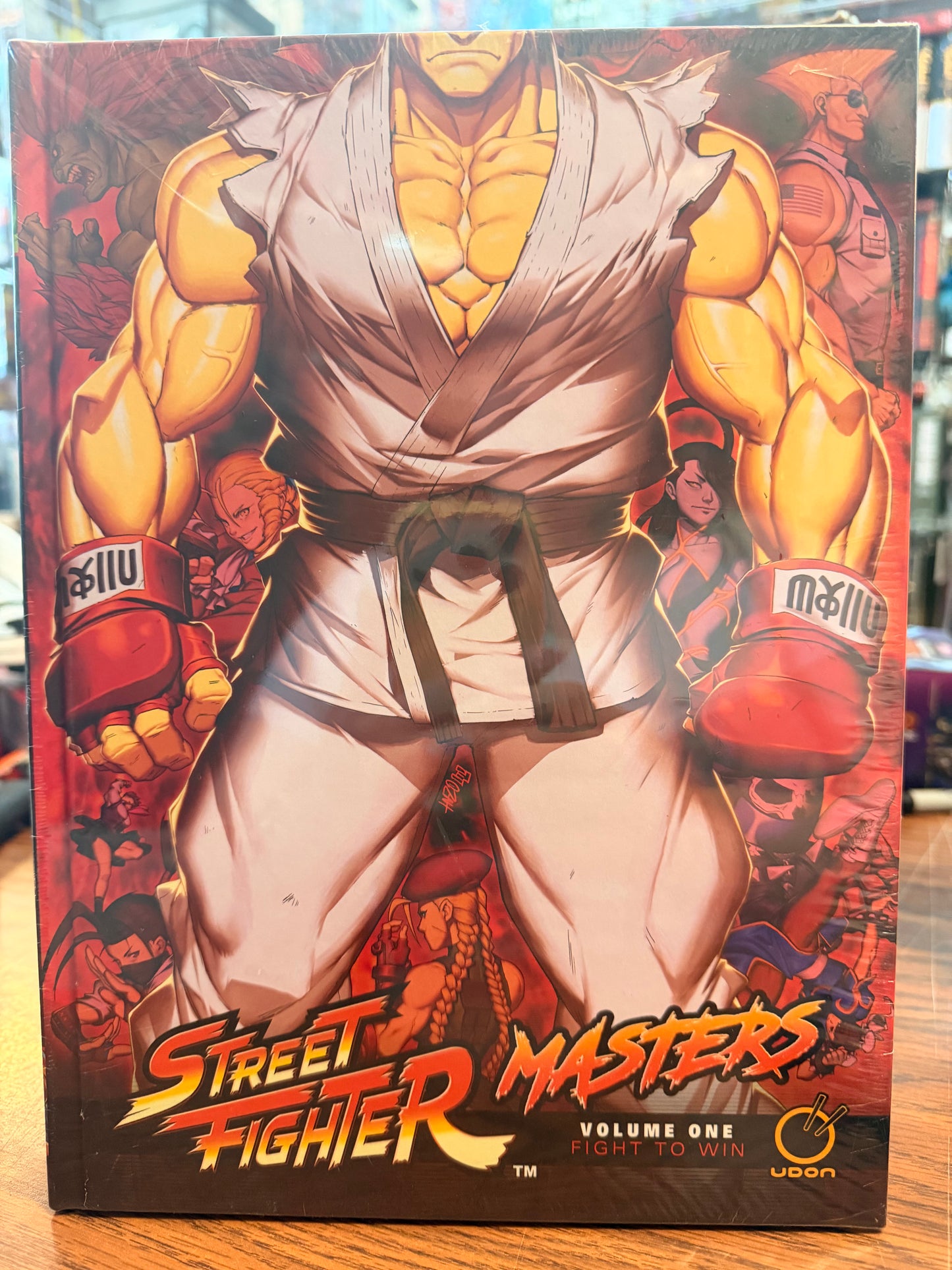 Street Fighter Masters Volume 1: Fight to Win Artbook English New