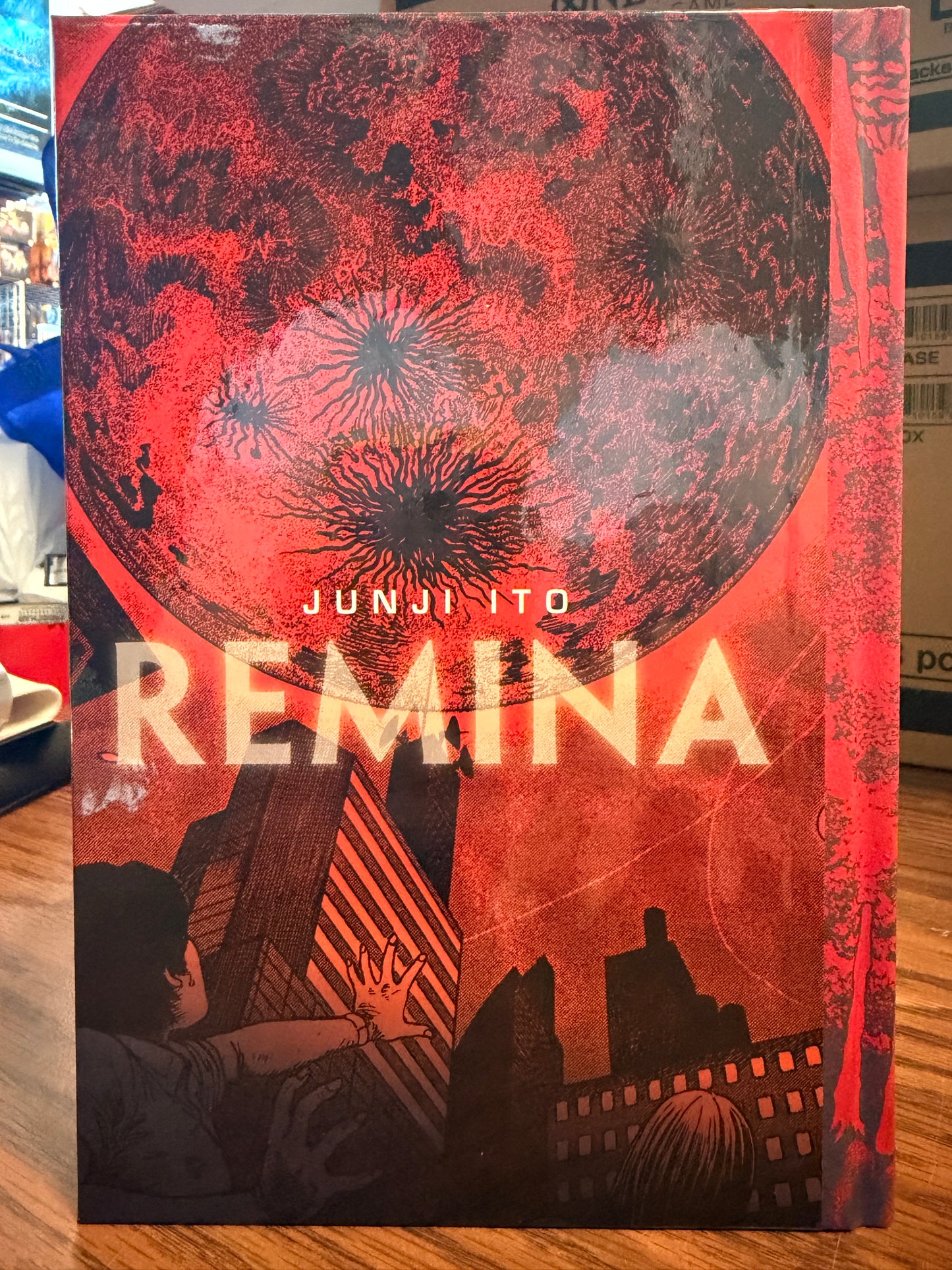 Remina Manga English New