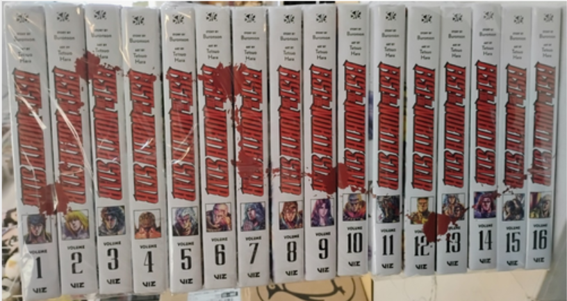 Fist of the North Star Collection (v1 - 16)