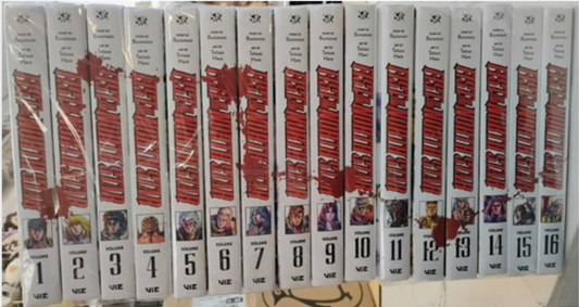 Fist of the North Star Collection (v1 - 16)