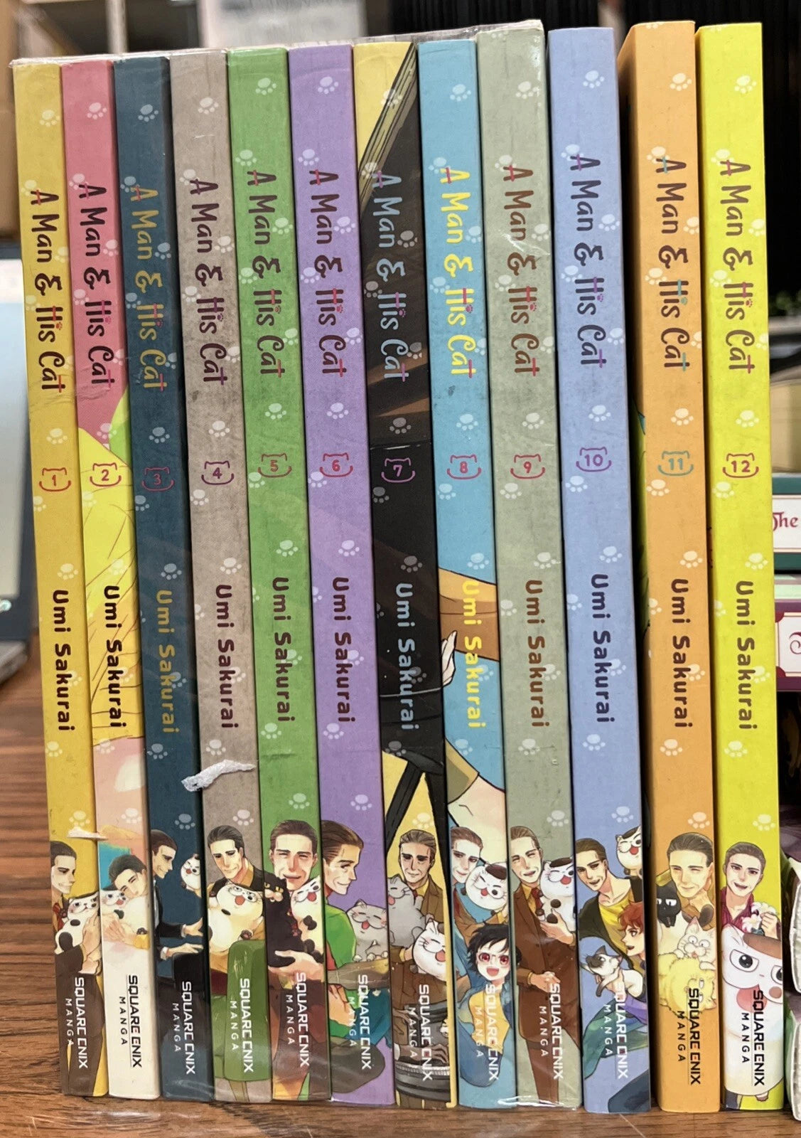 A Man & His Cat 1-12 Manga New English 10